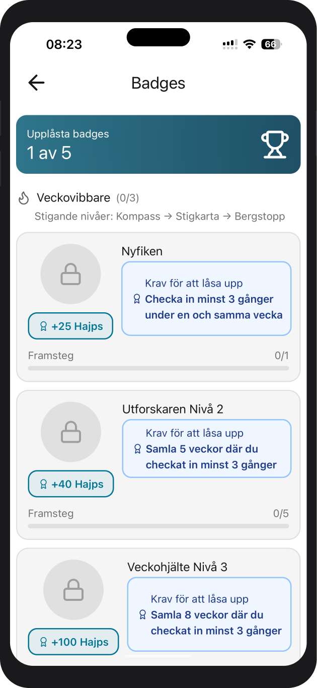 Skärm: nivåer och progression